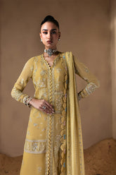Zarposh Cymelle embroidered sleeves and chiffon panels detail